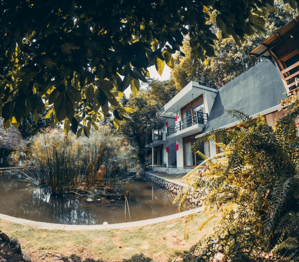 Tagua Lodge Tena Ngoại thất bức ảnh