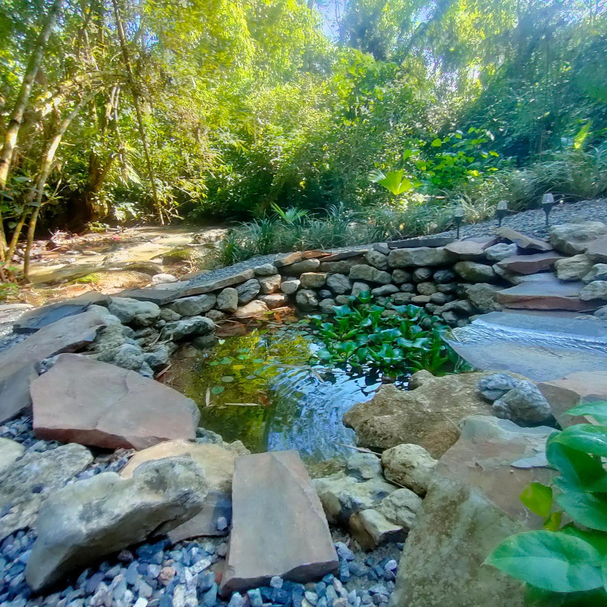 Tagua Lodge Tena Phòng bức ảnh