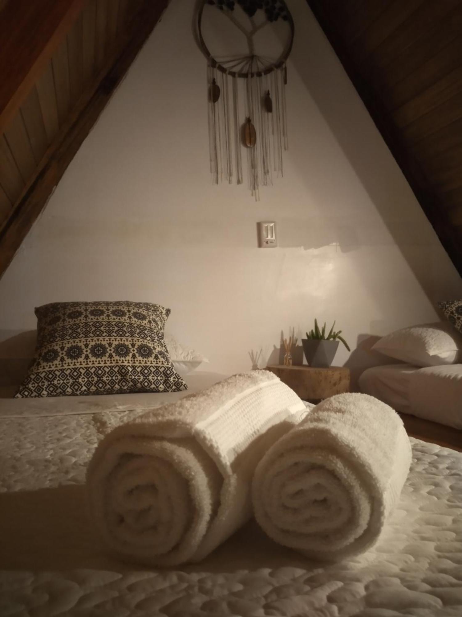 Tagua Lodge Tena Ngoại thất bức ảnh