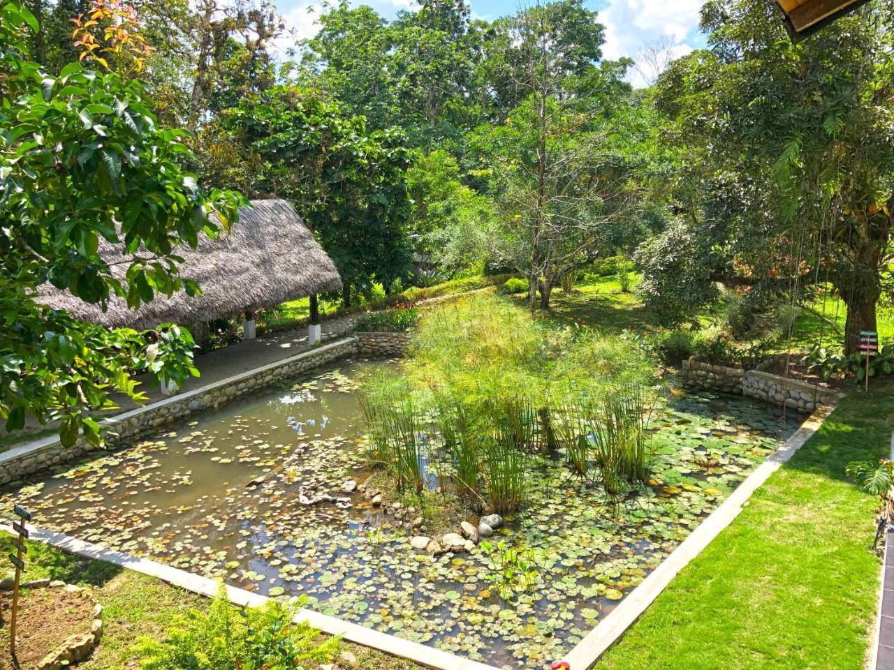 Tagua Lodge Tena Ngoại thất bức ảnh